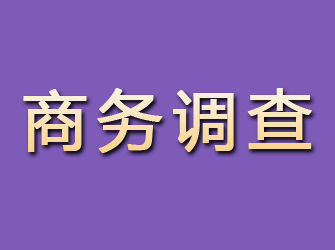 江油商务调查